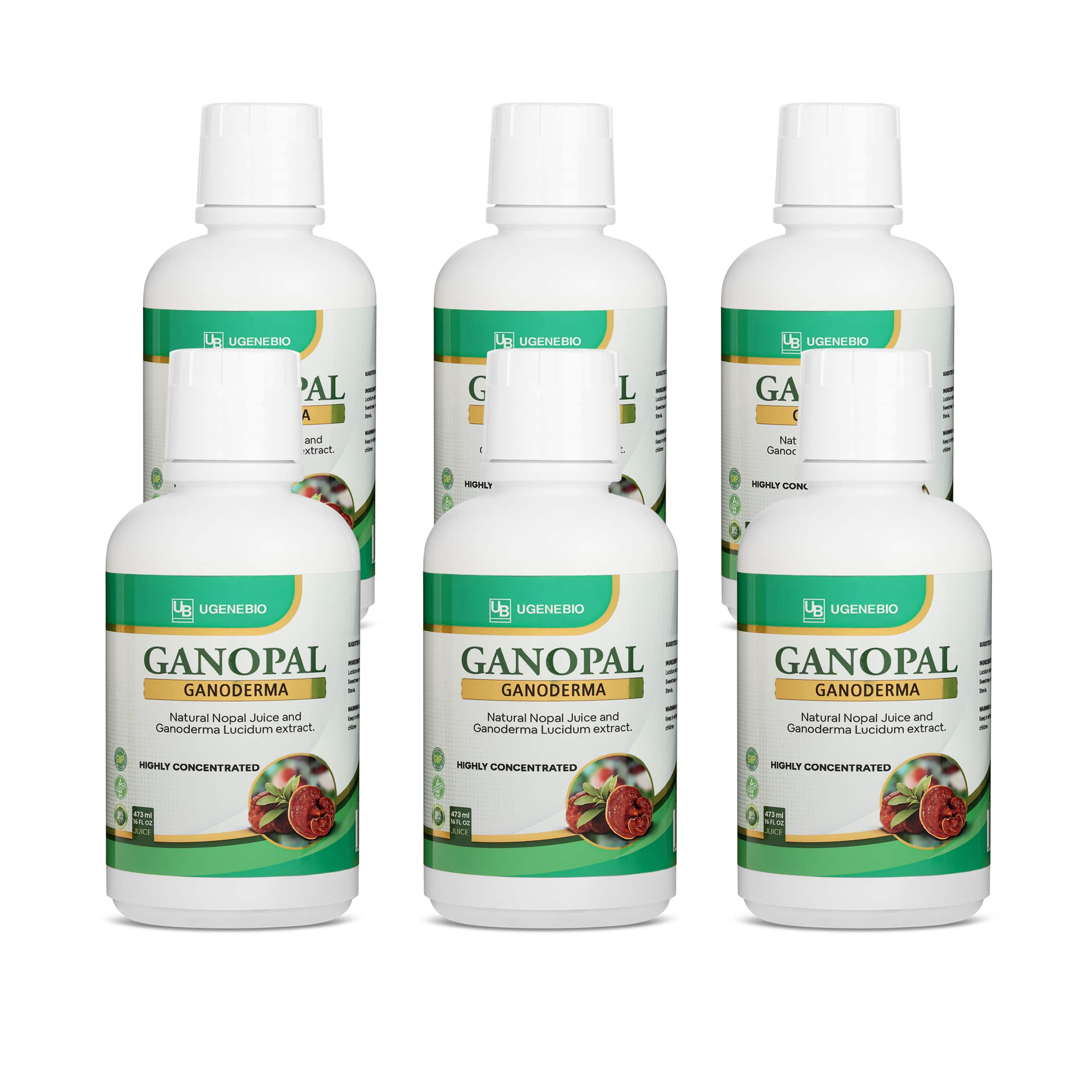 Ganopal 6Pack Ganopal 6Pack
